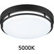 EnviroLite LED 10 inch Matte Black Flush Mount Ceiling Light
